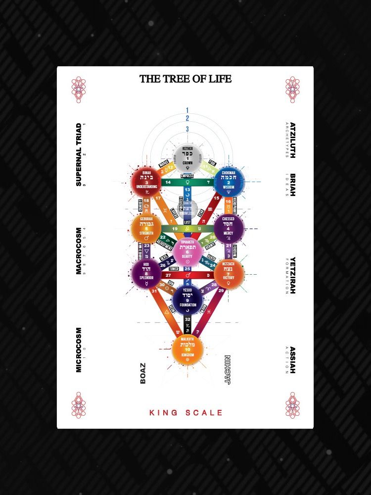 The Tree of Life Digital Print King Scale White product image (1)