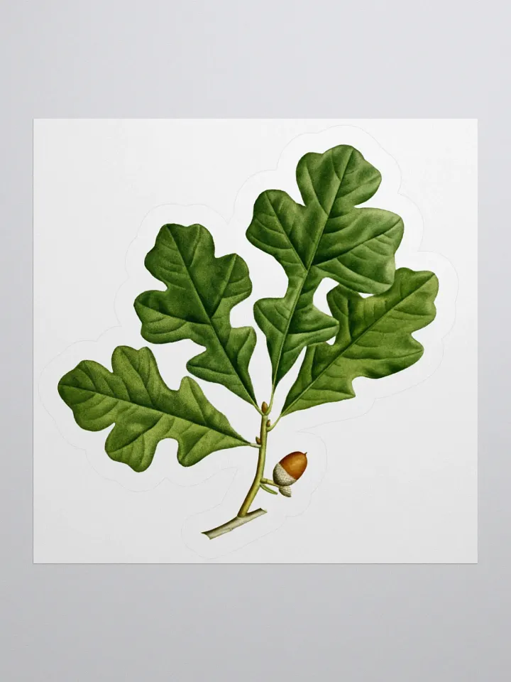 Post Oak Sticker product image (1)
