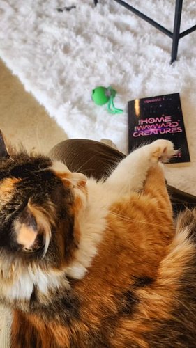 Celebrated the release of my animal-centric cozy & cute space romantasy, The Home for Wayward Creatures at my favorite place ...