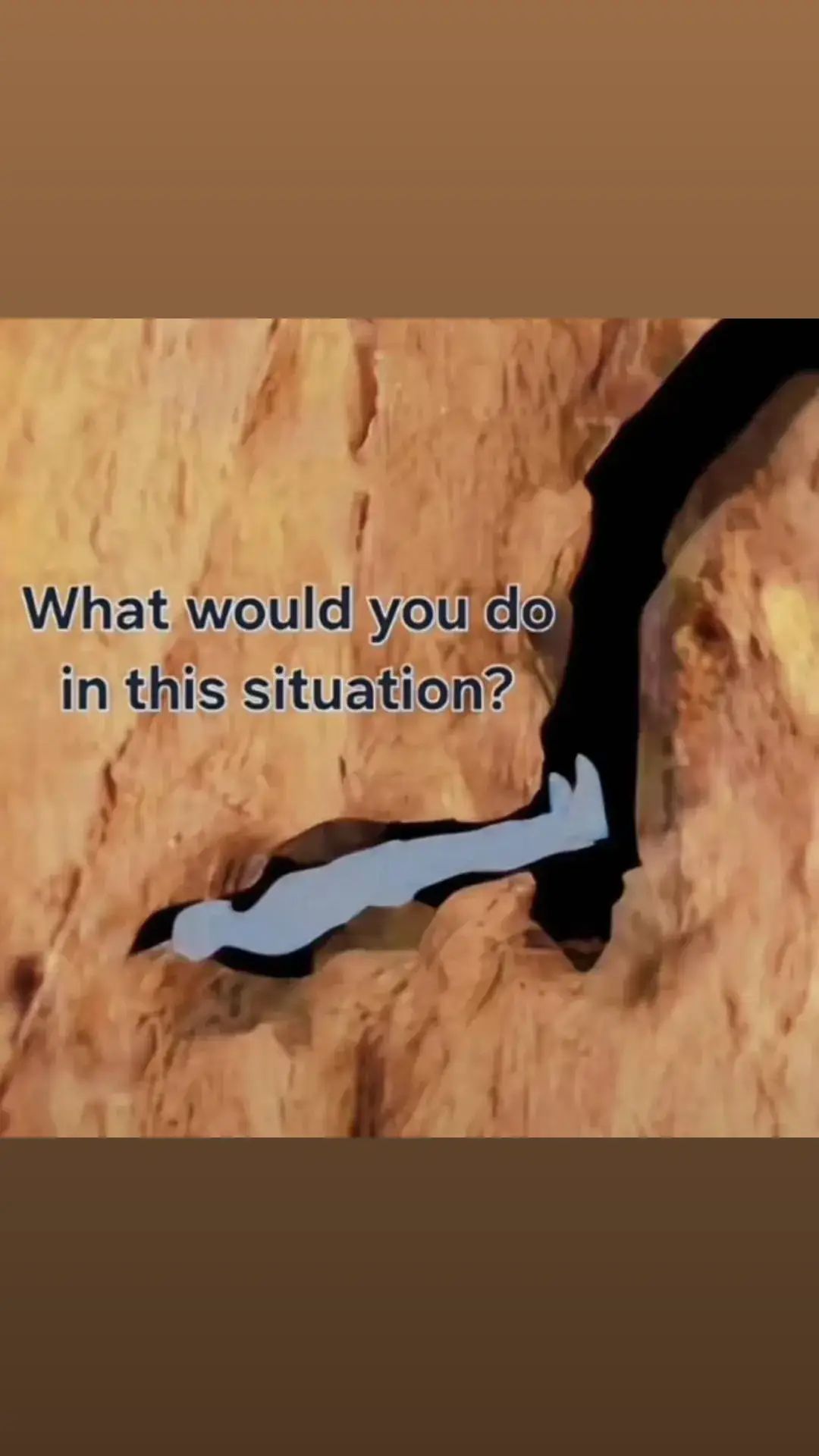 What would y'all do 