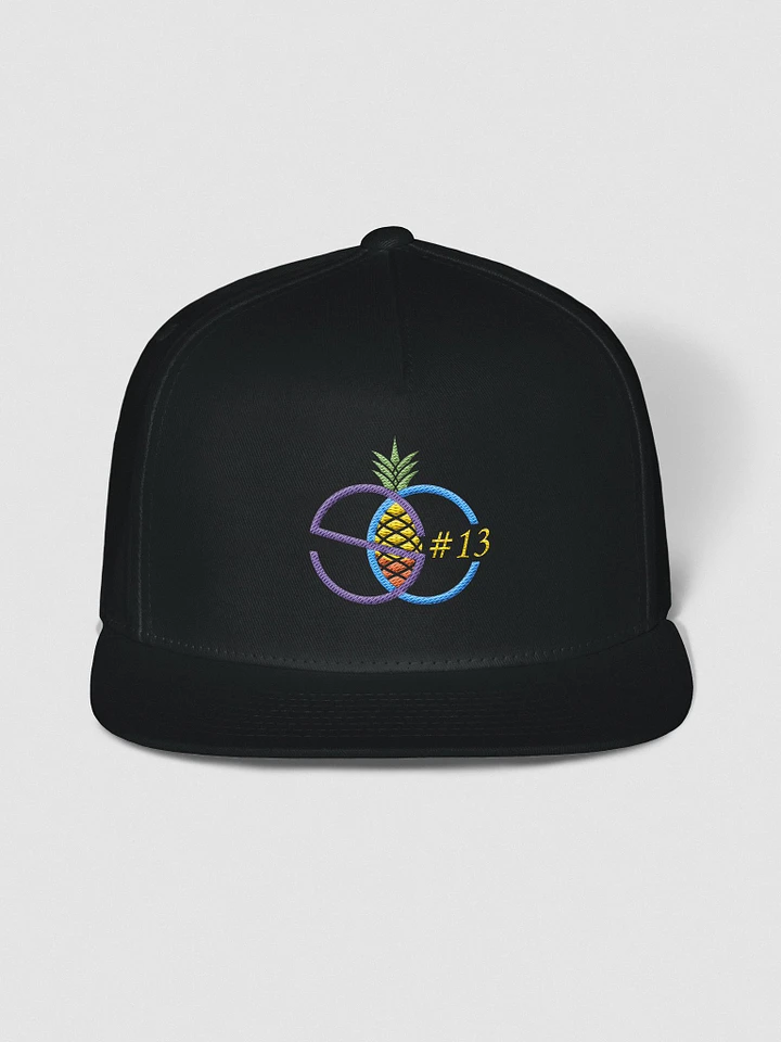 SC13 Logo Snapback Hat product image (1)