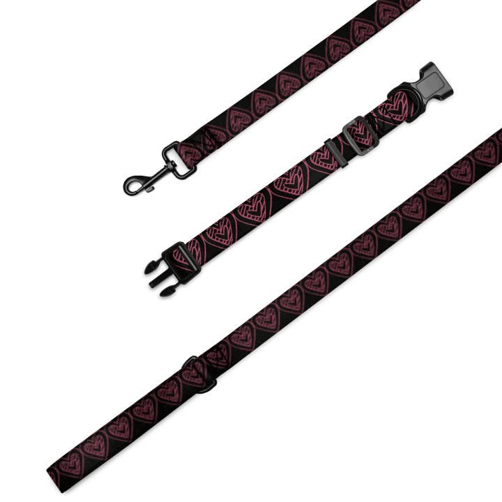 Gradient Fusion Pet Collar & Leash Set product image (1)