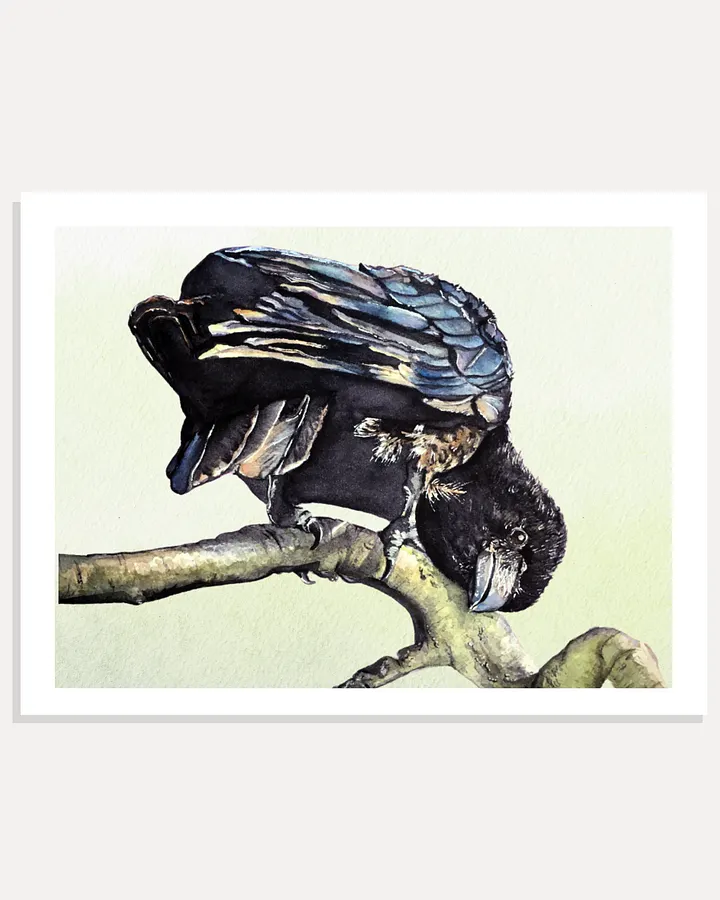 Harlow Raven Giclée Art Print product image (1)