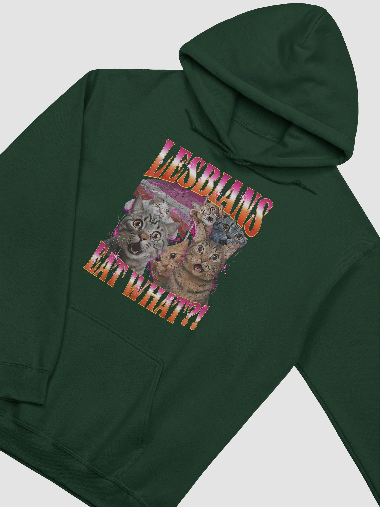 Lesbians Eat What Hoodie product image (3)