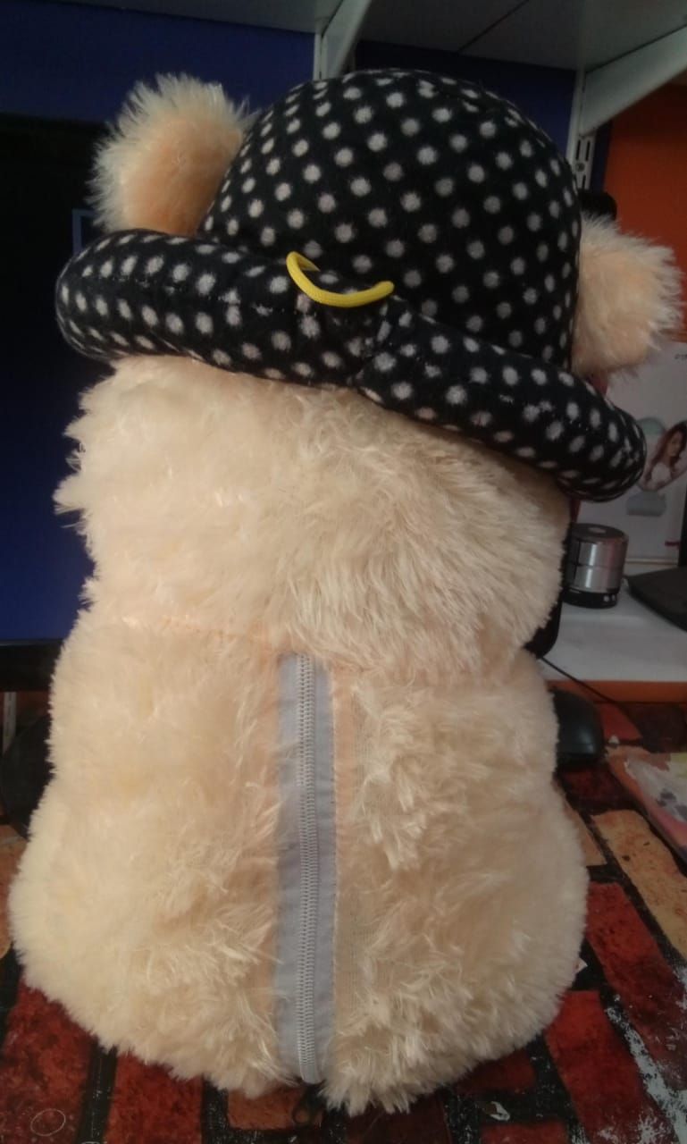 TEDDY BEAR product image (4)