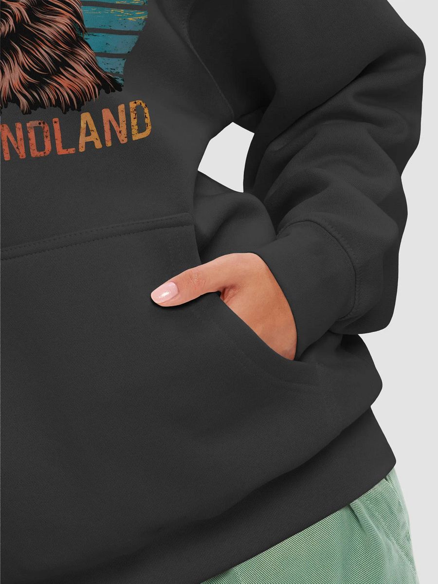 Vintage Newfoundland Dog Graphic Hoodie - Ideal for Pet Owners product image (6)