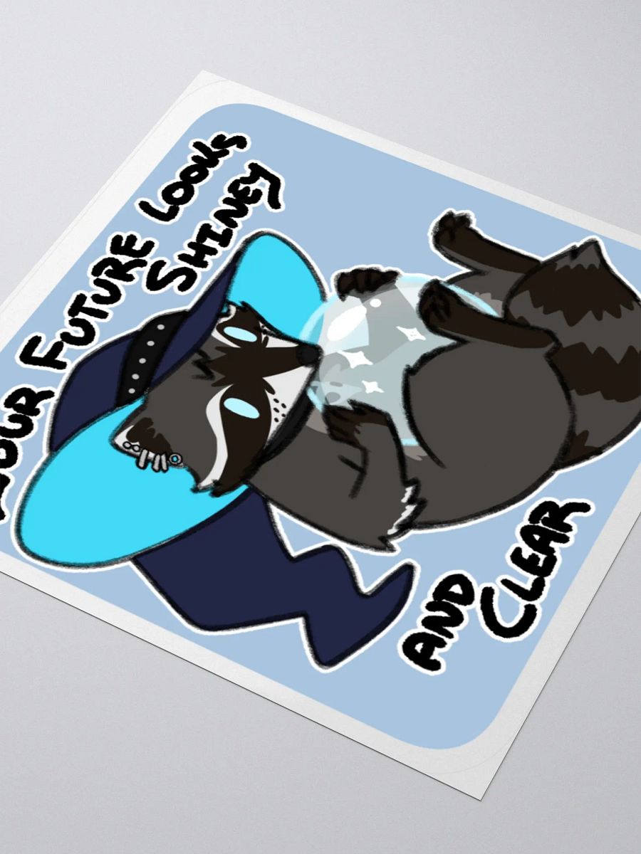 Raccoon Fortune (New) product image (3)