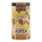Quaking Aspen | Seed Grow Kit product image (1)