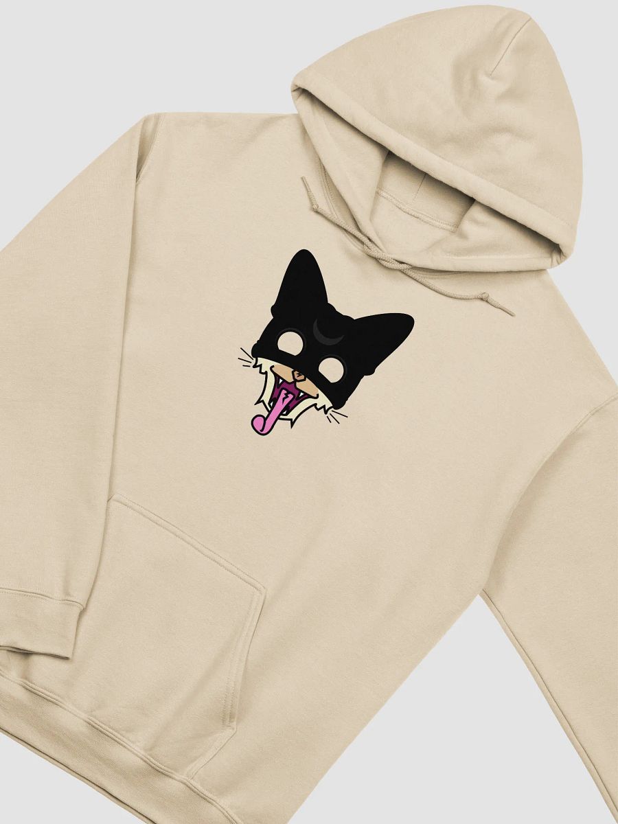 Low Priced Spook Hoodie product image (3)