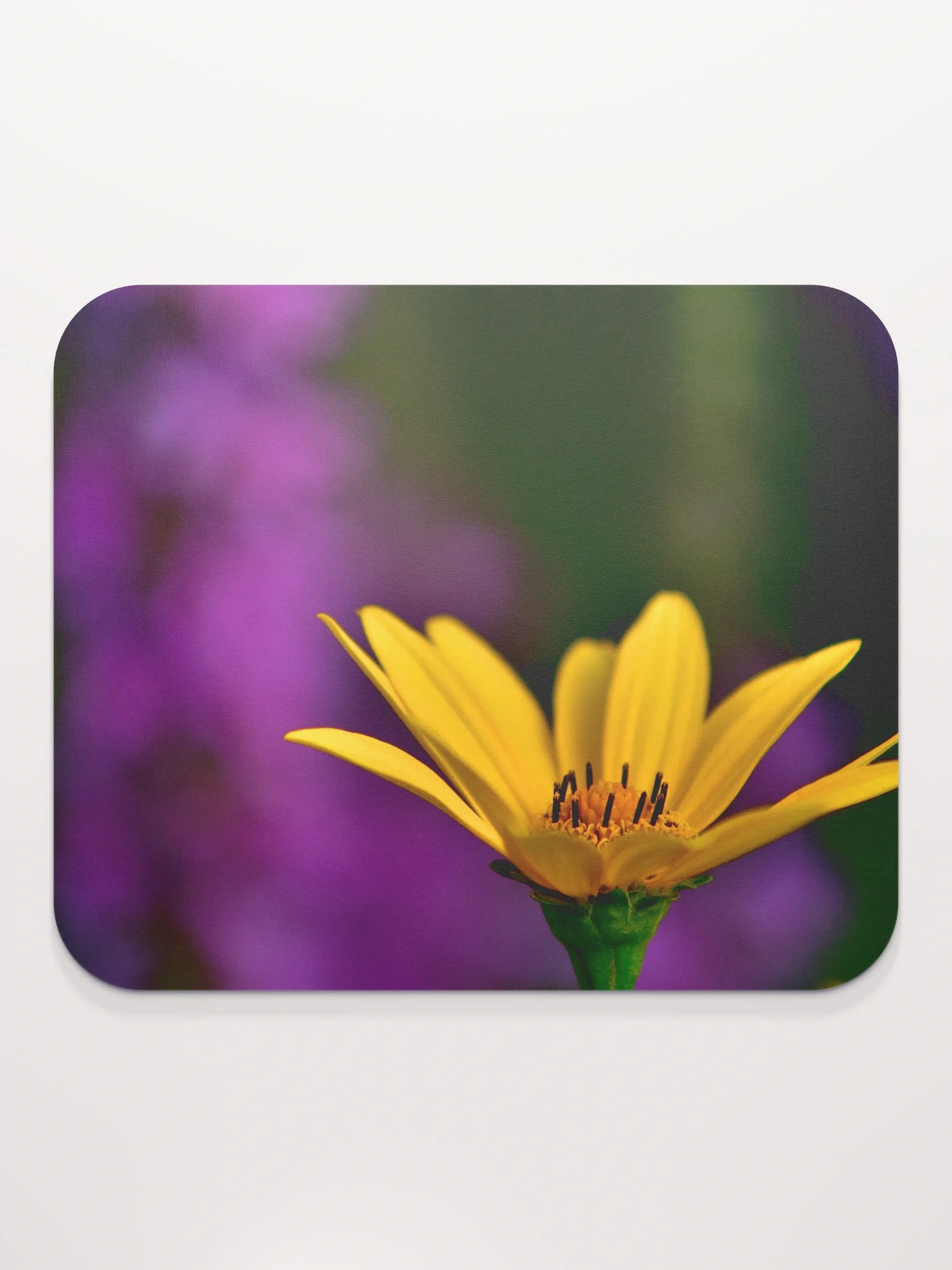 Mauspad - leuchtend gelbe Blüte vor violettem Hintergrund product image (2)