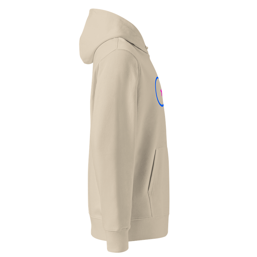 Interconnected Straight Genders Organic Hoodie product image (4)
