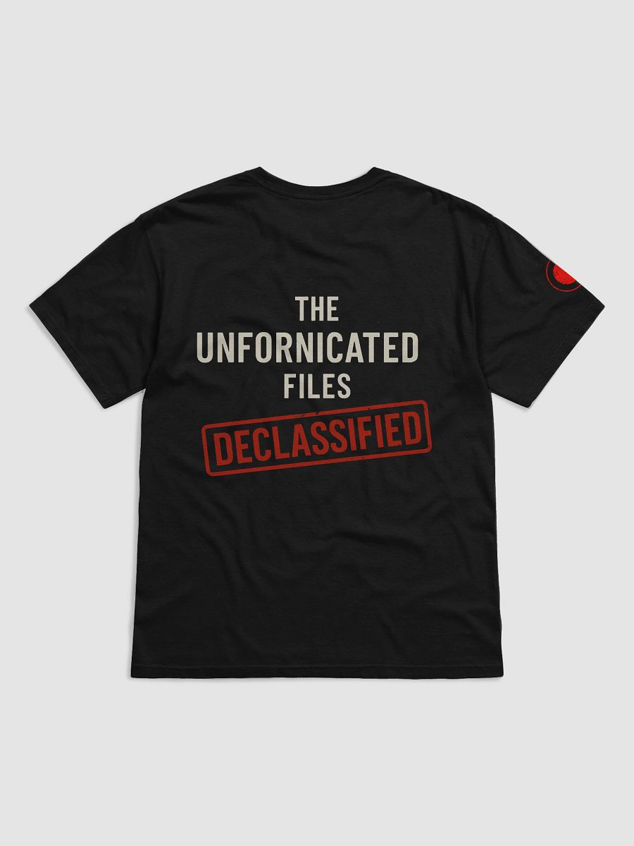 The Unfornicated Files: DECLASSIFIED Relaxed Tee product image (3)