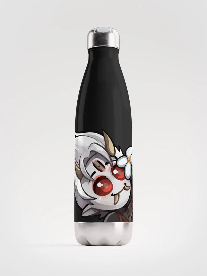 Stainless steel water bottle product image (1)