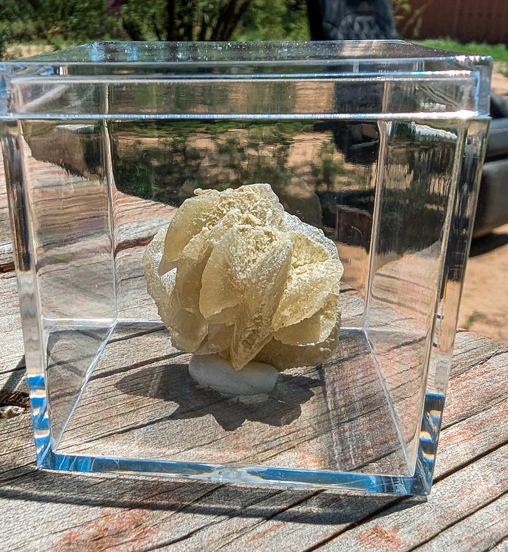 Perfect Saint David Desert Rose product image (1)