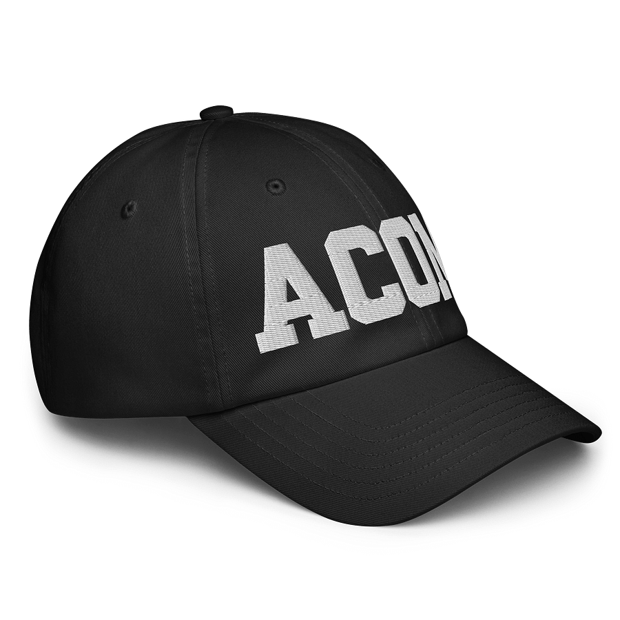 ACOM Dad Hat by Under Armor product image (3)