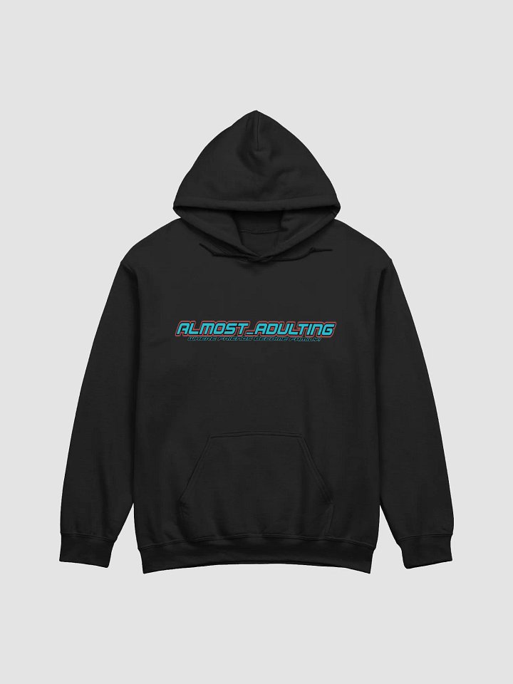 A_A Hoodie2 product image (5)
