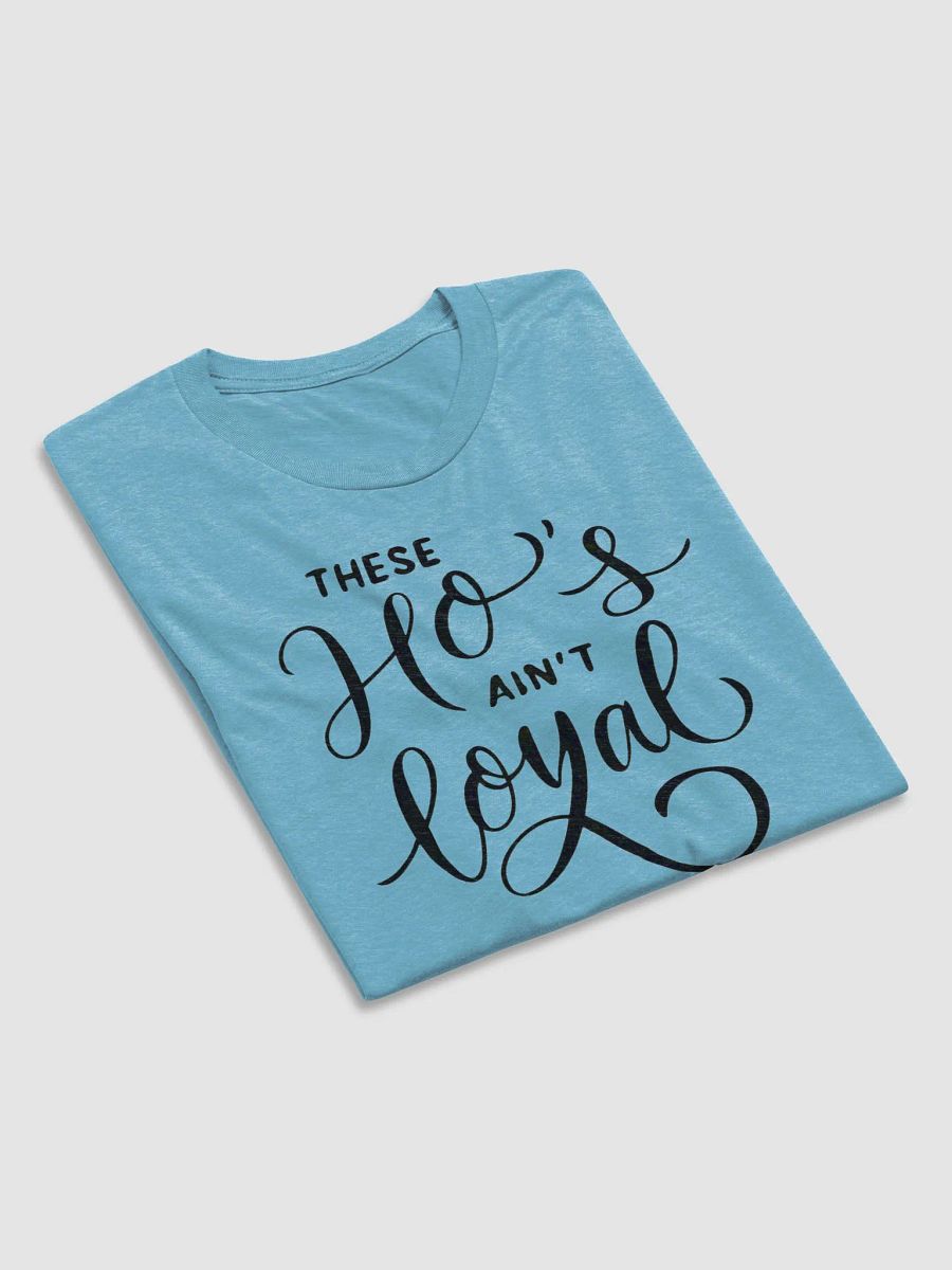 Aint Loyal product image (59)