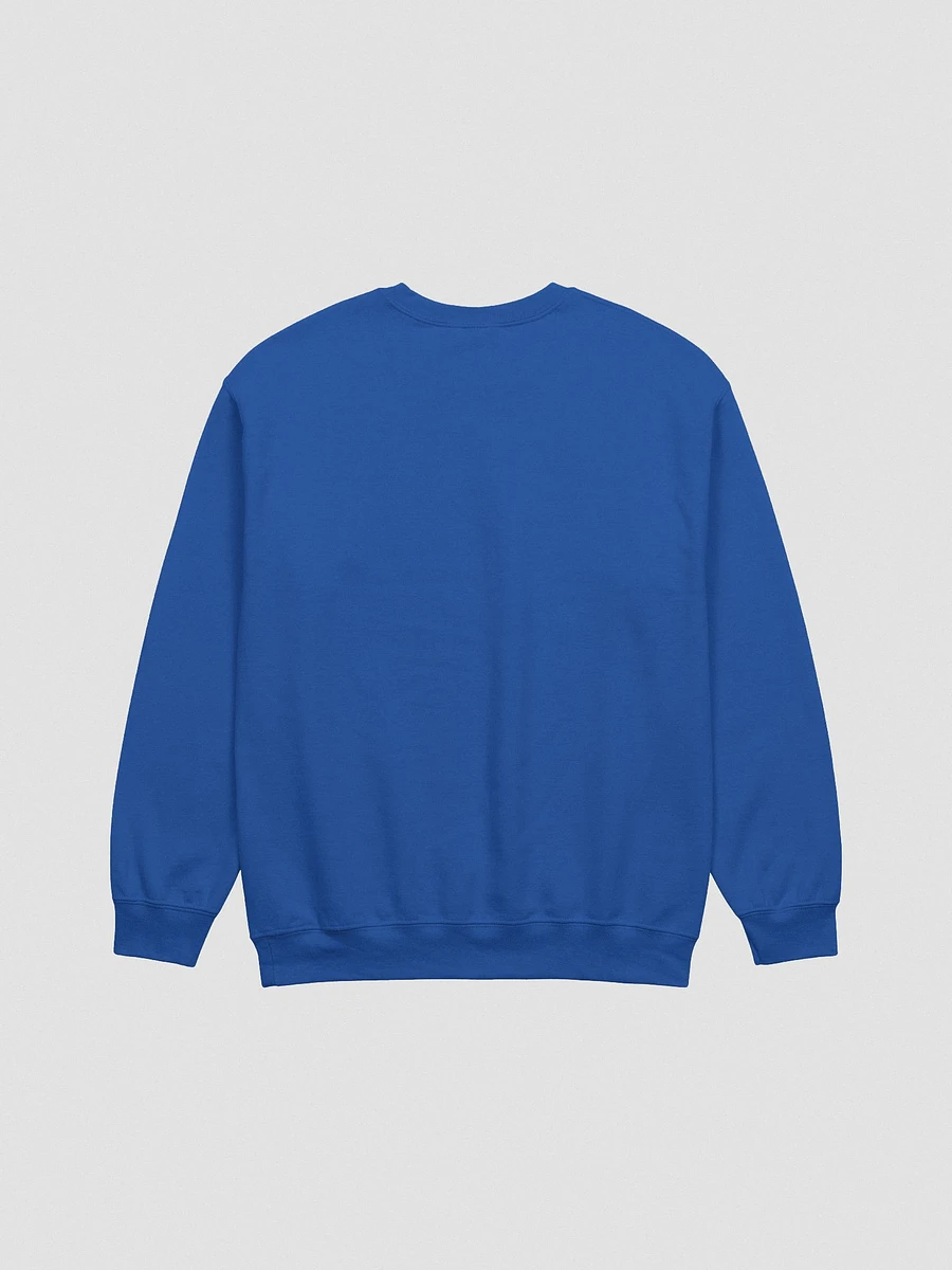 Picky Boys Embroidered Crewneck Sweatshirt (6 Colors) product image (17)