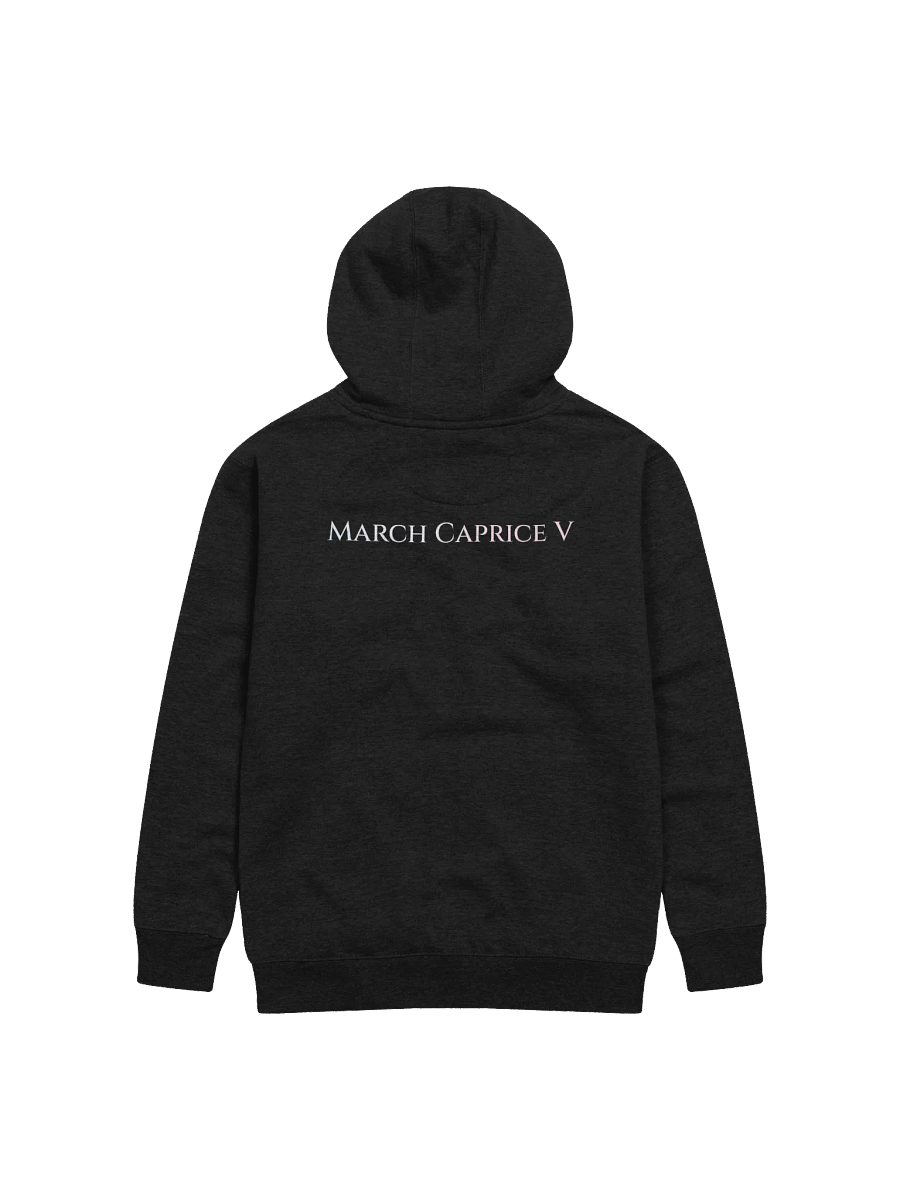 MCV Hoodie product image (2)