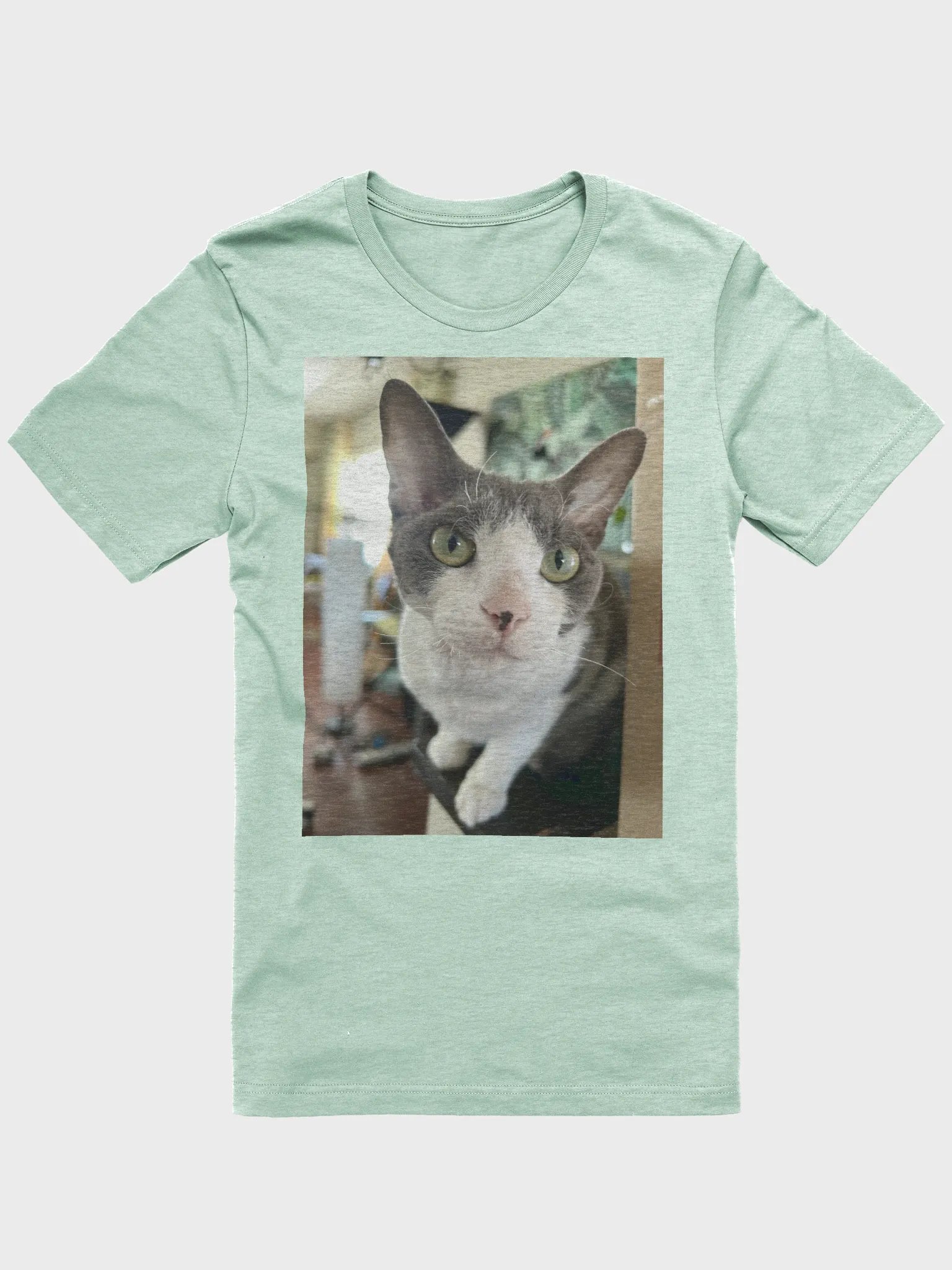 Oliver Portrait Graphic Tee product image (1)