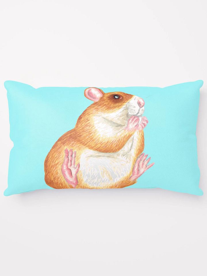 rat eating treat pillows product image (1)