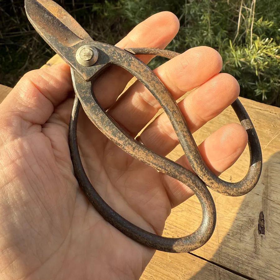 🎎 Antique Japanese garden shears - Japan Antique Roadshow Description: product image (5)