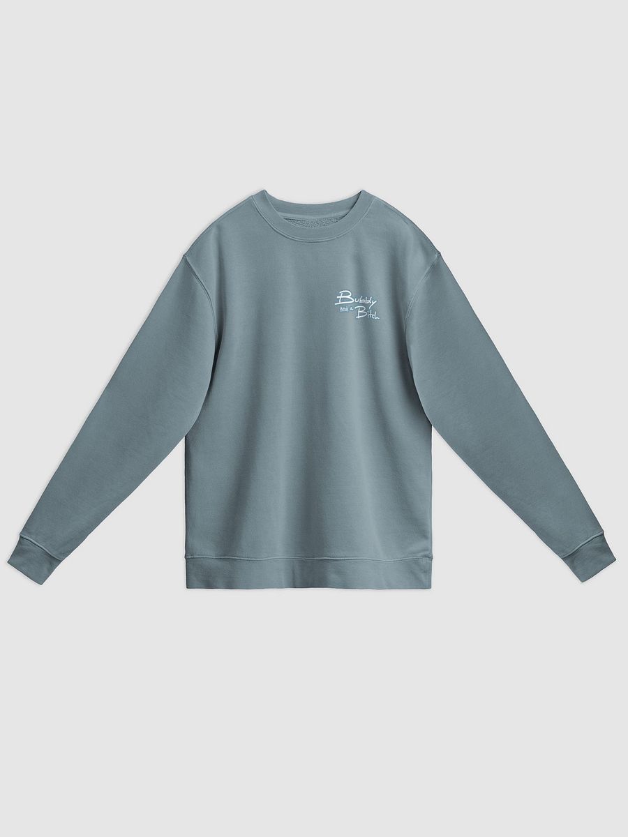 Bubbly and a B*tch (sm. lined design, #709AAF) printed pigment crewneck product image (25)