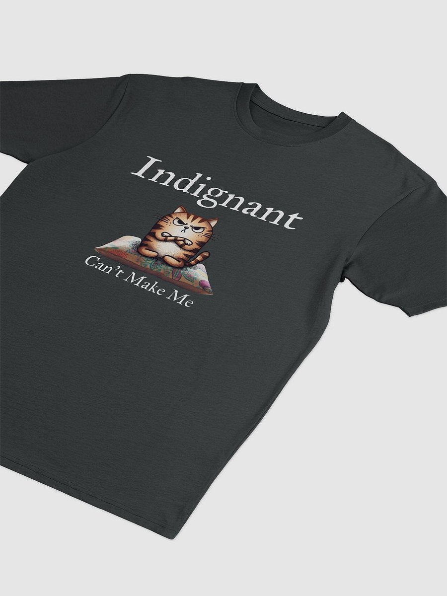Indignant Tee product image (4)