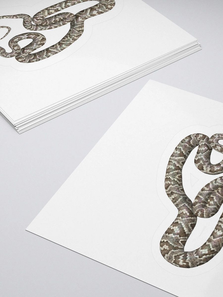 Die-Cut Sticker – Sonoran Lyresnake product image (4)