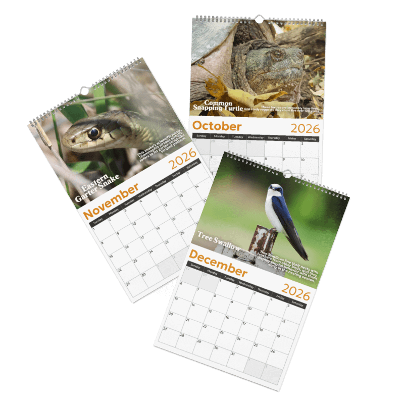 2026 Wall Calendar product image (5)