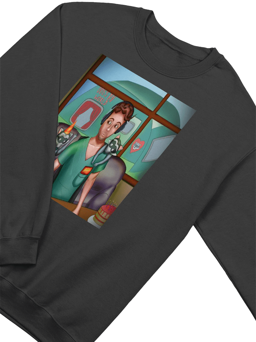 Raccoon Bday Sweater product image (3)