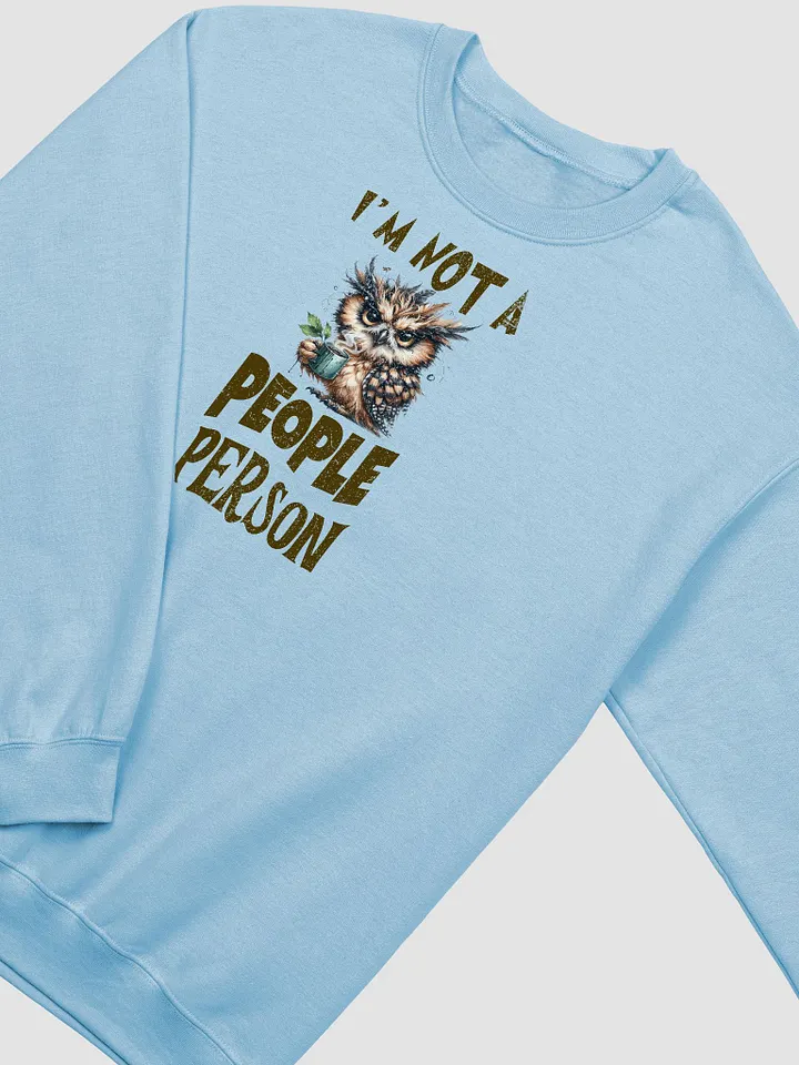 Whimsical Owl Not a People Person Sweatshirt product image (6)