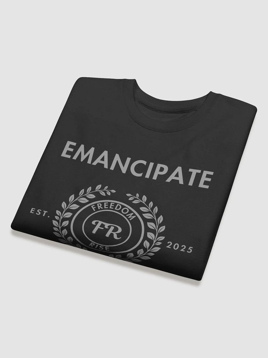 Emancipate: Freedom Rise product image (8)