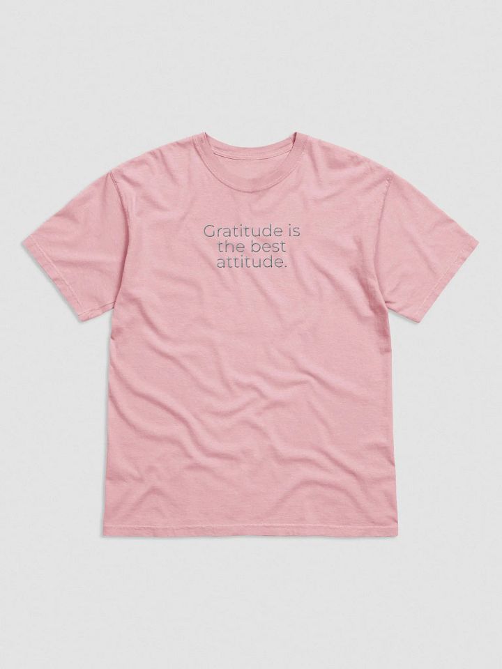 Comfort Colors® Embroidered T-Shirt - Gratitude is the Best Attitude product image (1)