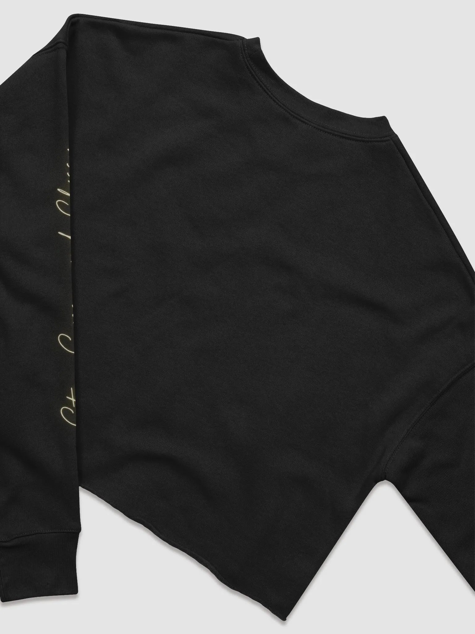 Alpha Crop Top! product image (4)