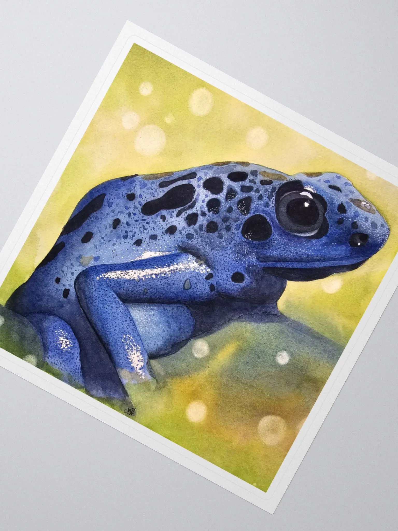 Randolf - Poison dart frog - sticker product image (5)