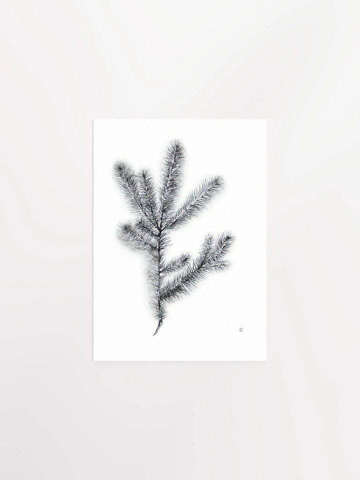 Whimsical Coniferous Branch Poster - Spruce Branch product image (1)