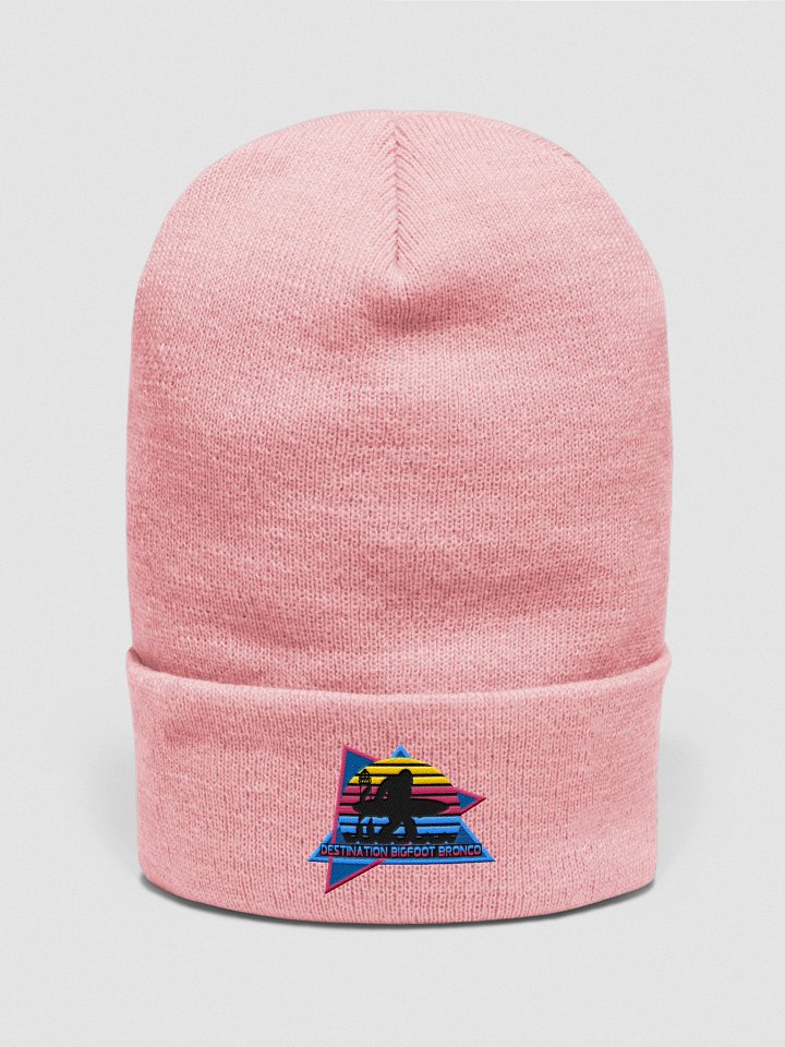 Retro-Inspired Pink Cuffed Beanie product image (1)