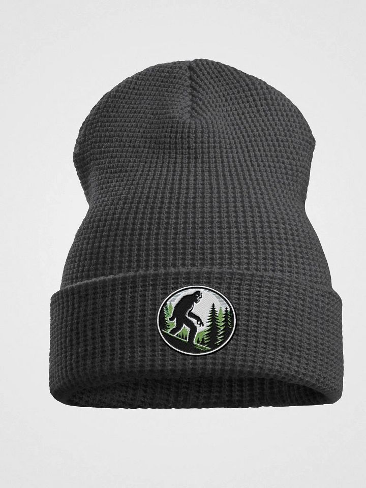 Ball Gazer Beanie product image (1)