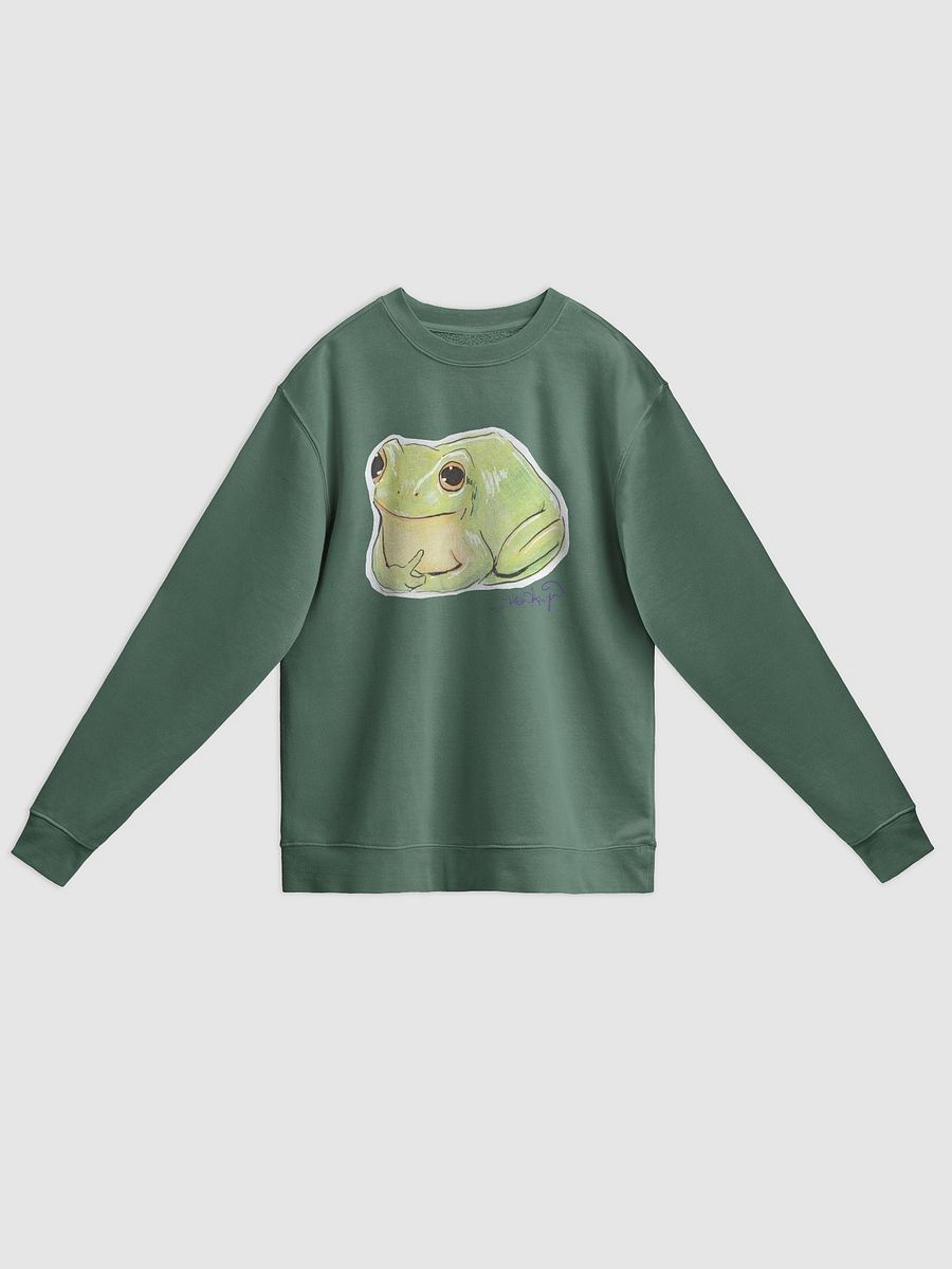 Polite Frog Sweater product image (7)