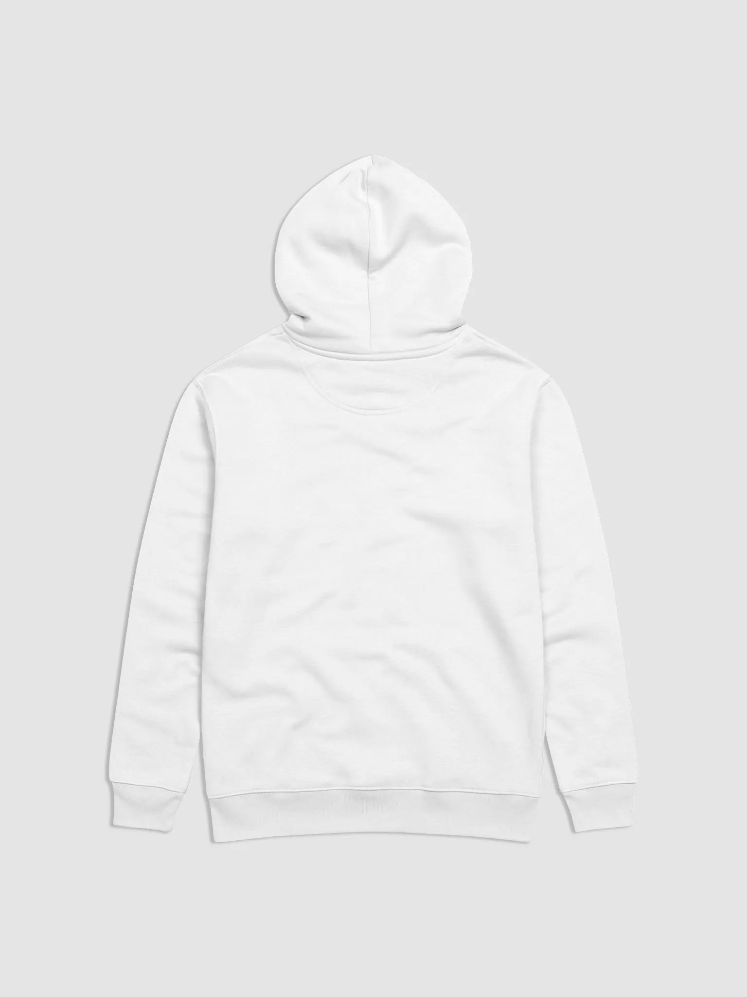 Raw Intuition Watermelon Eco Hoodie product image (2)