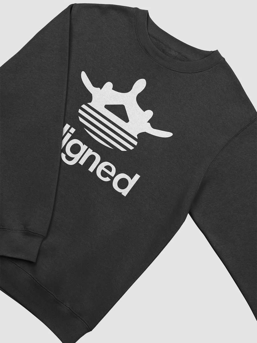 Aligned Sweatshirt product image (4)