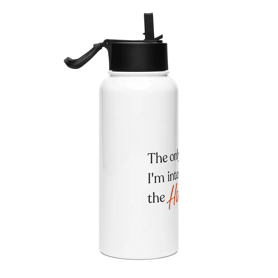 The Holy Ghost Stainless Steel Water Bottle with Straw | Stainless Steel Sipper and Water Bottle | Not Halloween Collection product image (4)