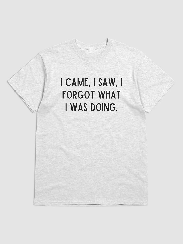 I CAME I SAW TEE product image (1)