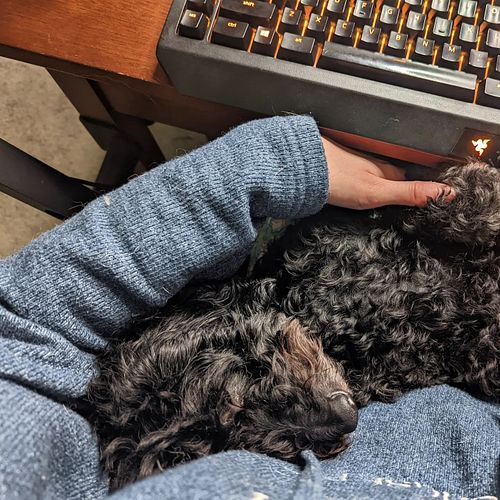 My supervisor asleep on the job... So lazy 😴