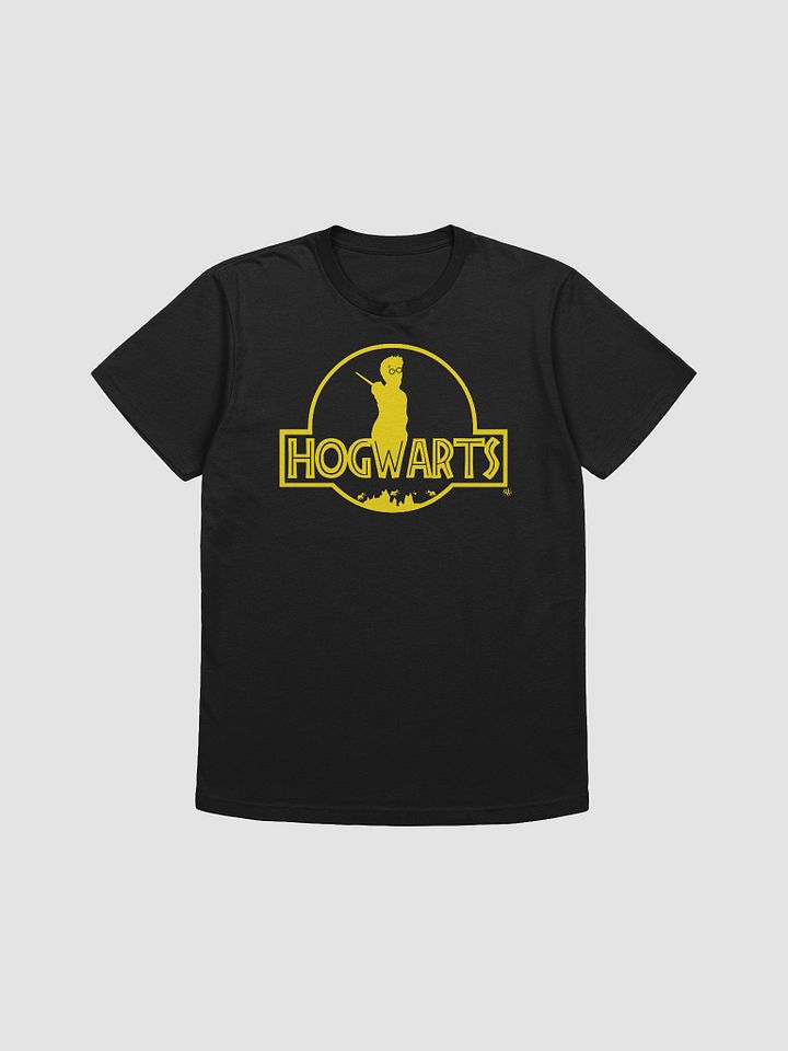 Hogwarts Park ( H ) Tee product image (1)