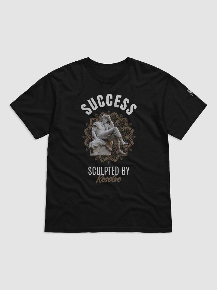 Success Sculpted by Resolve product image (3)