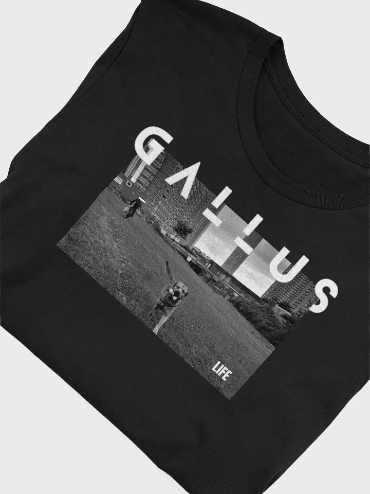 Gallus 2025 Life Collection product image (1)