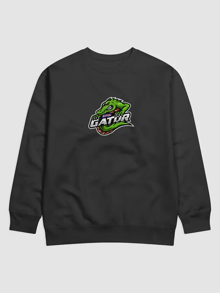 V3 Logo Sweatshirt product image (1)