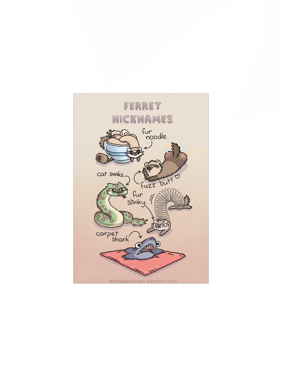Ferret Nicknames | Bestselling Poster product image (3)